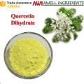 Pure Raw Material Quercetin,Quercetin Dihydrate Plant Extract